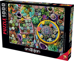 Kaktüsler | Anatolian Puzzle