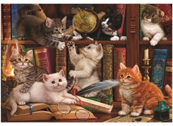 Kediler ve Kitaplar